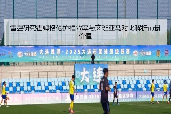 雷霆研究霍姆格伦护框效率与文班亚马对比解析前景价值